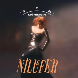 Alithestereo Sen Mühimsin - Plak