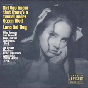 Dıd You Know That Theres A Tunnel Under Ocean Blvd Lp