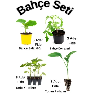 Bitkim Sende Bahçe Seti 5'er Adet Salatalık+ Salkım Domates+ Acı Kıl Biber+Topan Patlıcan Fidesi