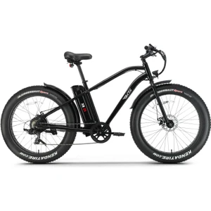 XR25 Elektrikli Bisiklet - Siyah