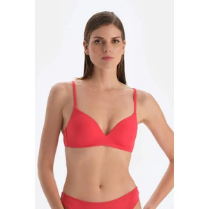 Kırmızı Kaplı Bikini Üstü