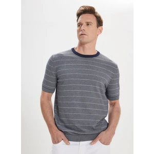 ALTINYILDIZ CLASSICS Erkek Lacivert-Beyaz Standart Fit Normal Kesim %100 Pamuk Çizgili Bisiklet Yaka Triko Tişört
