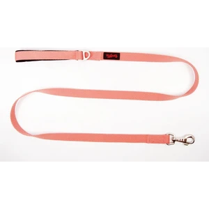 Tailpetz Salmon Gezdirme Kayışı 120 cm x 2 cm