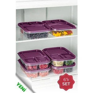 6lı 3 Bölmeli Dikdörtgen Saklama Kabı 1,15 Litre Mor