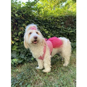 Pembe Kareli Fiyonklu Tüllü Kedi Köpek Kıyafeti Elbisesi