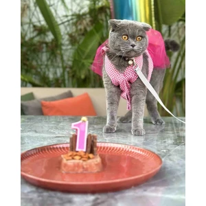 Pembe Kareli Kalpli Tüllü Kedi Köpek Kıyafeti Elbisesi