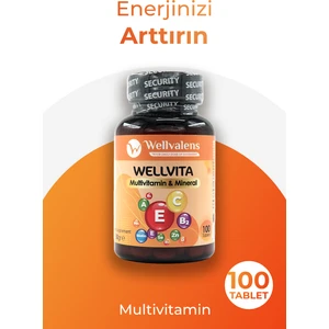 Wellvita Multivitamin & Mineral – 18 ve 6 Mineral ile Günlük Sağlık Desteği | 100 Tablet Vitamin C, E, B3, A, B5, D3, B2, B1, B6, B12, Çinko, Biotin, Iodine, Folik Asit, Selenyum, Bakır