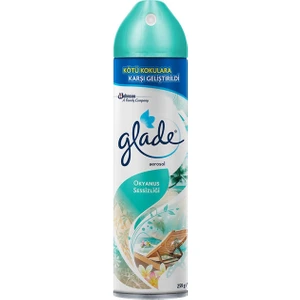 Aerosol Oda Kokusu Sprey 300 ml - Okyanus Sessizliği