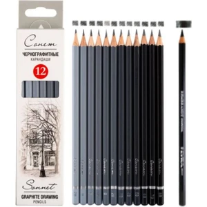 St.petersburg Sonnet Dereceli Kalem Karakalem Set (8b-2h)Arası Kömür Kalemi Hediye