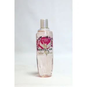 Kertil Çam Balıkesir Güzeli 400 ml