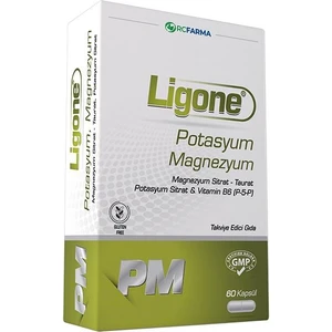 Ligone Potasyum Magnezyum 60 Kapsül