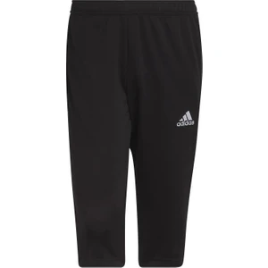 Adidas ENT22 3/4 Pnt Erkek Kapri HB0576