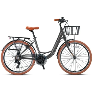 Cx 100  28 Jant Profesyonel Şehir Bisikleti
