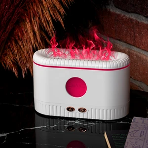 Dekoratif Hava Nemlendirici