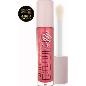 Plump Up Dolgunlaştıran Dudak Parlatıcısı 206 Chic