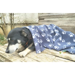 Ecotton Works Pati Desenli Kedi Köpek Evcil Hayvan Polar Battaniye Antrasit Gri Renk 90CM X120