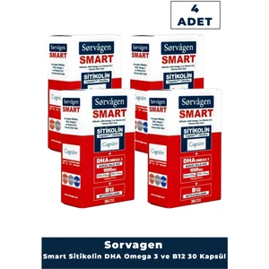 Smart 30 Kapsül ( Sitikolin Dha Omega 3 ve B12 Içeren Takviye Edici Gıda ) x 4 Adet