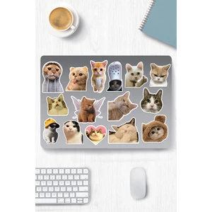 Hediyene Bak Kedi Temalı Sticker Etiket Seti - Cat Sticker - Laptop Notebook Telefon