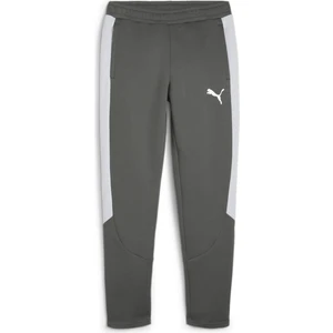 Evostripe Pants Dk Erkek Eşofman Altı