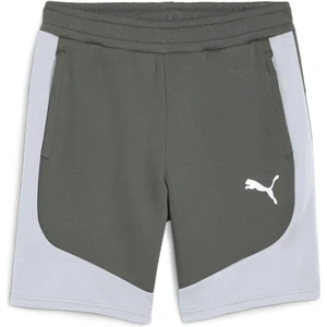 Evostripe Shorts Erkek Şort