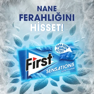 Sensations Nane Aromalı Sakız 27 gr - 12 Adet