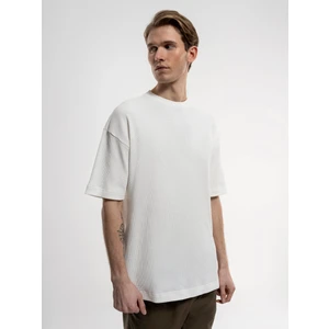 Regular Fit Erkek Tshirt K.kol