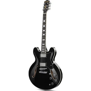 DJP-1000 Semi-Hollow Elektro Gitar (Siyah)