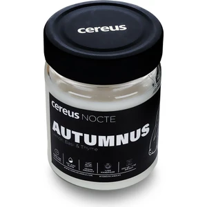 Nocte Autumnus Lime & Fesleğen Kokulu Soya Mum (210 Gr)