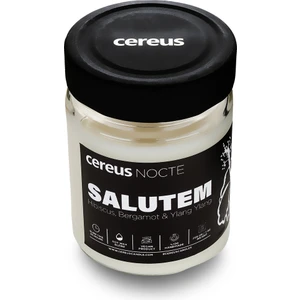 Nocte Salutem Hibiskus Kokulu Soya Mum (210 Gr)