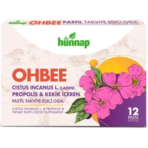 Hünnap Pastil Citrus 12'Li