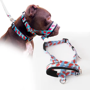 Karpuz Desenli Köpek Ağızlığı - Havlama ve Çekiştirme Önleyici - Small