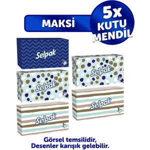 Maksi Kutu Mendil 5 x 100 Yaprak