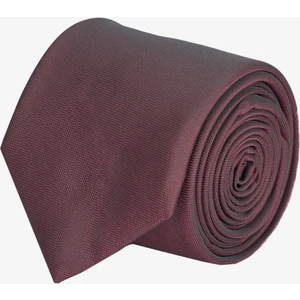 ALTINYILDIZ CLASSICS Erkek Bordo Desenli Kravat