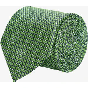 ALTINYILDIZ CLASSICS Erkek Yeşil Desenli Kravat