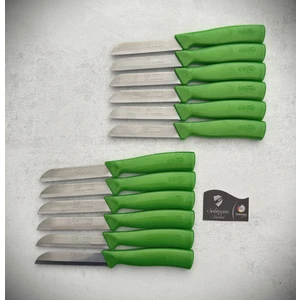 Işıltılı Meyve ve Sebze Bıçağı 12'li Yeşil