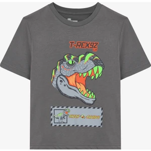 Graphic Tee B Short Sleeve Büyük Erkek Çocuk Gri Tshirt SK241093-035