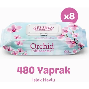 Orkide Kokulu Islak Mendil  Islak Havlu  480 Mendil