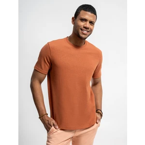 Regular Fit Erkek Tshirt K.kol