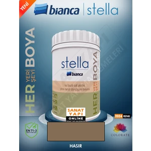 Stella 2024 Renk Yeni Su Bazlı Boyalar 1lt