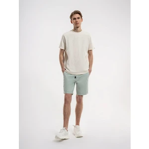Regular Fit Erkek Şort