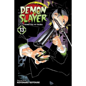 Viz Media Demon Slayer 13
