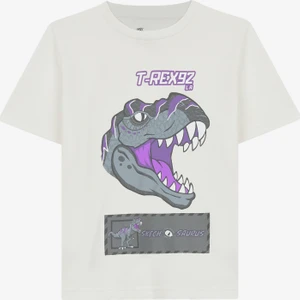 Graphic Tee B Short Sleeve Büyük Erkek Çocuk Beyaz Tshirt SK241093-102