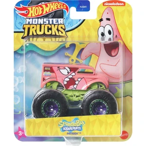 Hot Wheels Monster Trucks Gösteri Dünyası Temalı 1:24 Arabalar HWN77