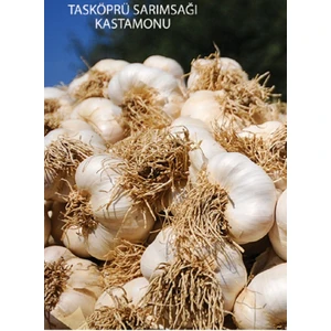 Türkiyem Organik Ürünler Organik Taşköprü Sarımsak 1 kg