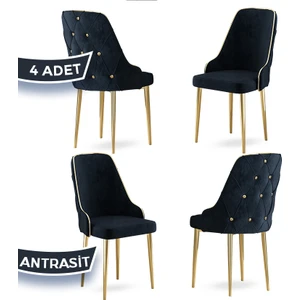 Concept Krax Serisi, 1.sınıf Babyface Kumaş Mutfak Sandalyesi, Gold Metal Ayak, 4 Adet Sandalye