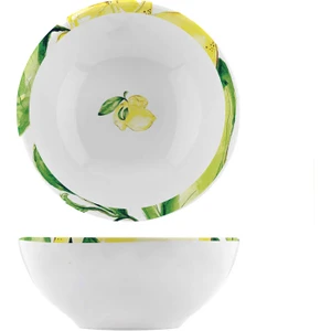 Fern&Co Bowl Collections Citrus 4'lü Melamin Kase