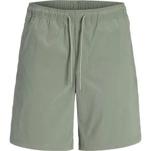 Jack & Jones Erkek Şort 12253173