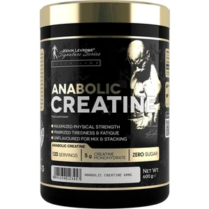 Kevin Levrone Creatine 600 Gram - 120 Servis