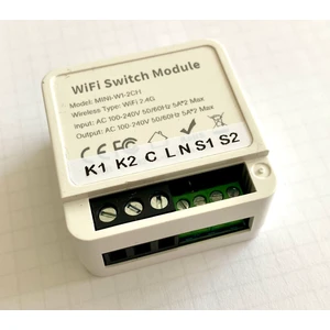 Ece Otomasyon Tuya Aubess Akıllı Anahtar 2 Çıkış Kuru Kontak / 2 Anahtar Girişi ( Panjur / Kepenk / Motor Yönlendirme Vs )