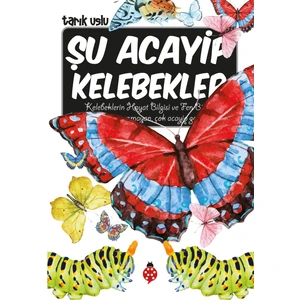 Şu Acayip Kelebekler - Tarık Uslu